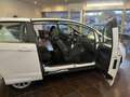Ford B-Max Ford B-Max*B-MAX*Titanium*SHZ*TPM*MFL*TOP GEPFLEGT Weiß - thumbnail 15