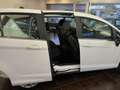 Ford B-Max Ford B-Max*B-MAX*Titanium*SHZ*TPM*MFL*TOP GEPFLEGT Weiß - thumbnail 14