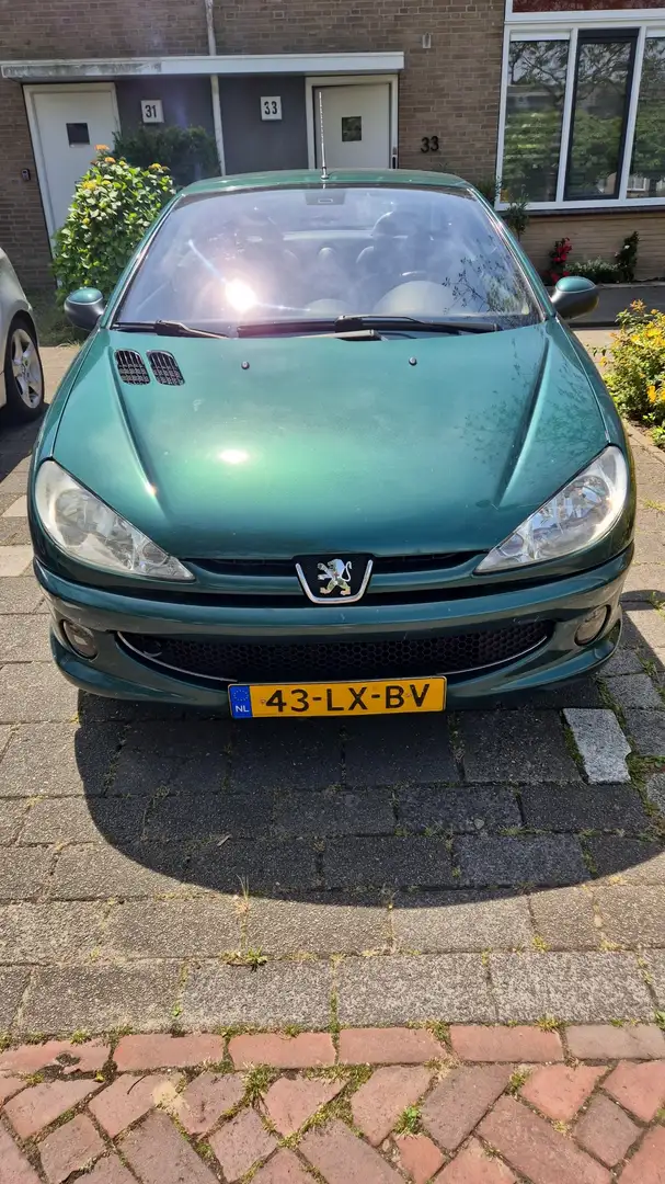Peugeot 206 CC 110 Roland Garros - 2