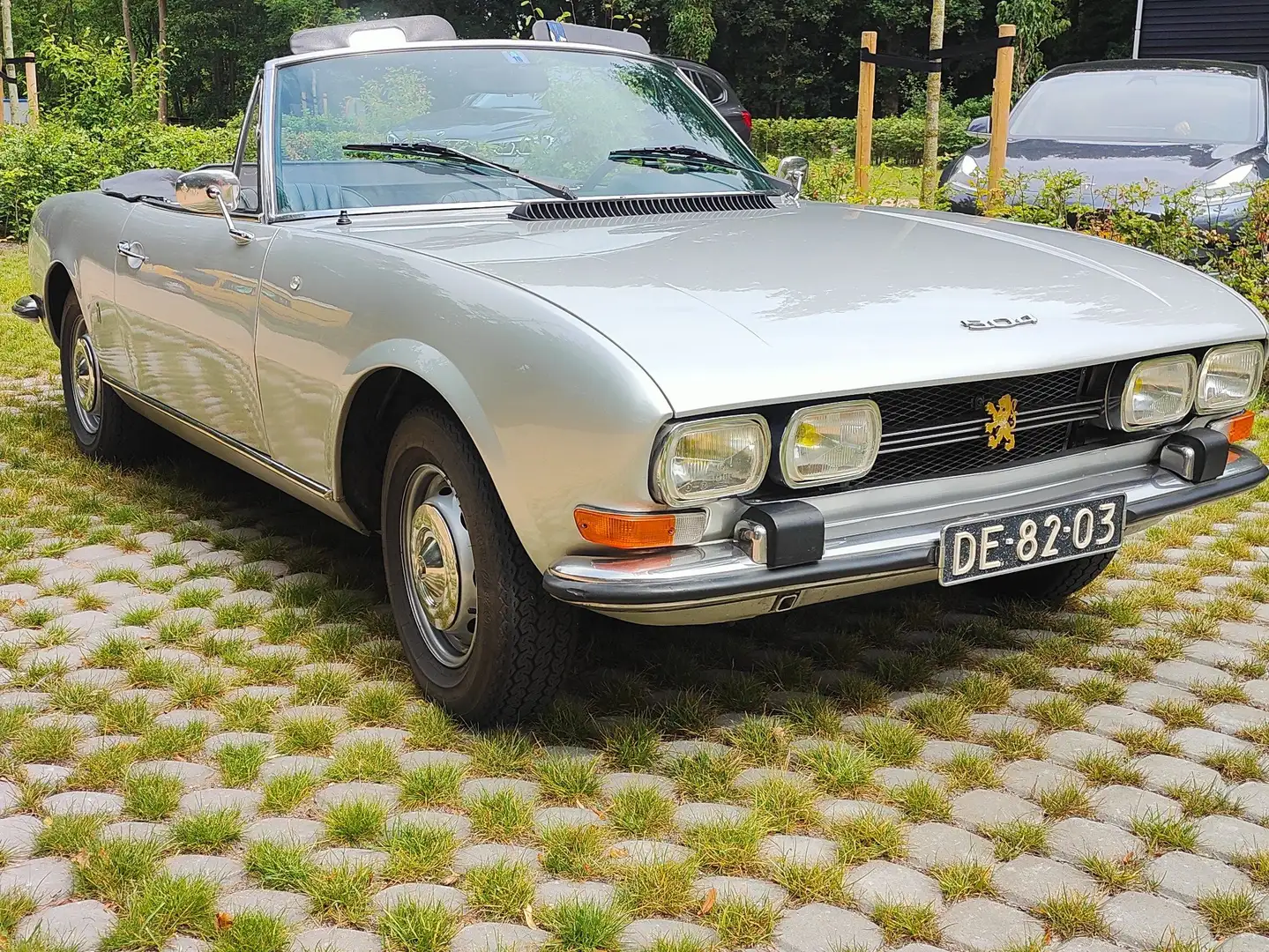 Peugeot 504 504 2.0 Cabrio Inj. Plateado - 2