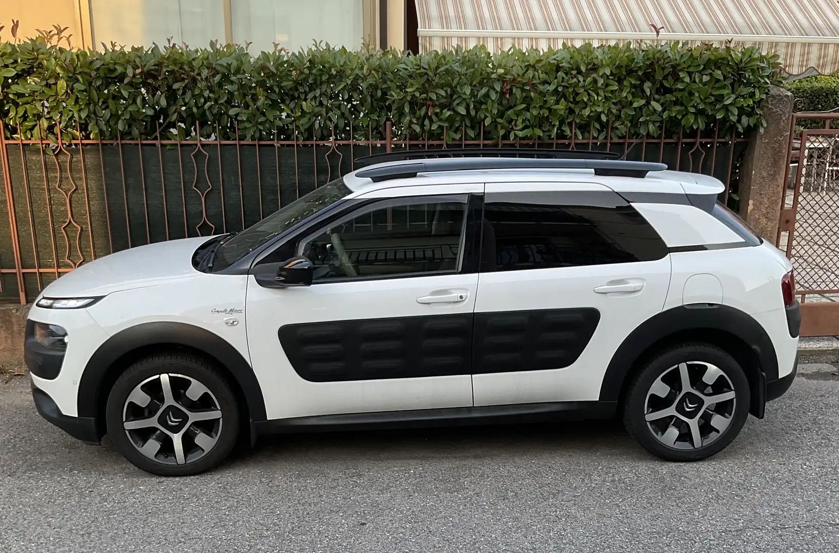 Citroen C4 Cactus 1.6 Blue HDi S&S ETG6 SHINE - 1