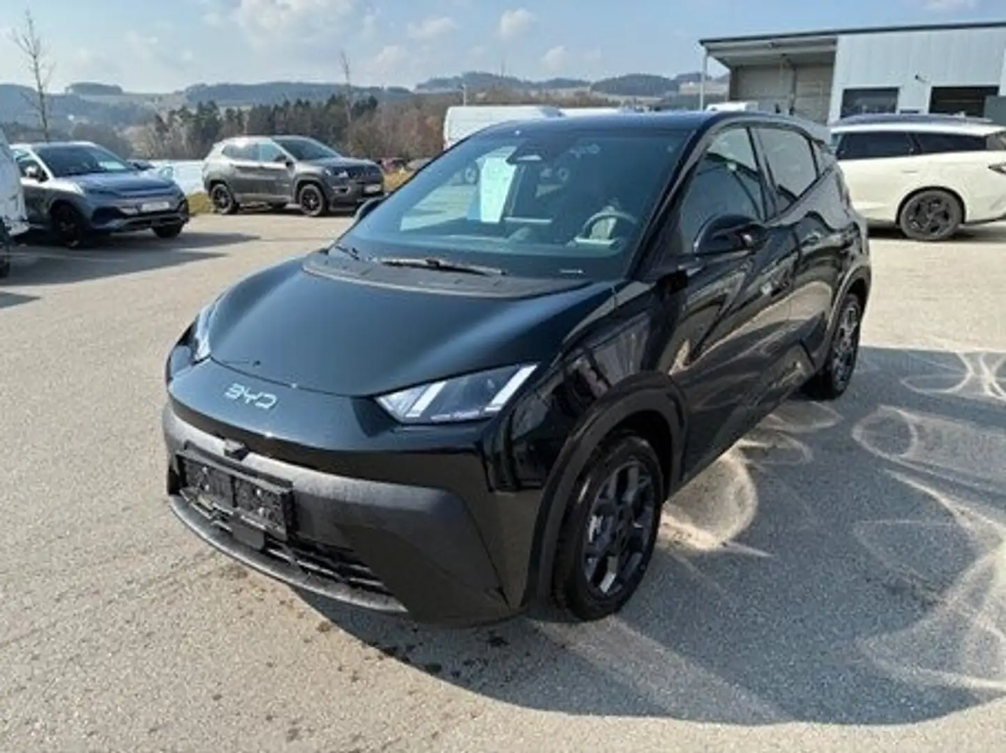 BYD Dolphin Surf 43,2 kWh Comfort Österreich Paket Schwarz - 2