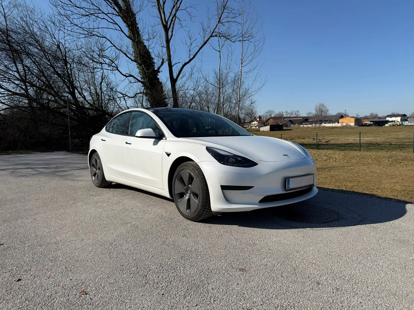Tesla Model 3 Model 3 Standard Range RWD Plus 57,5kWh RWD Plus Weiß - 1