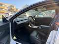 Tesla Model 3 Model 3 Standard Range RWD Plus 57,5kWh RWD Plus Weiß - thumbnail 3