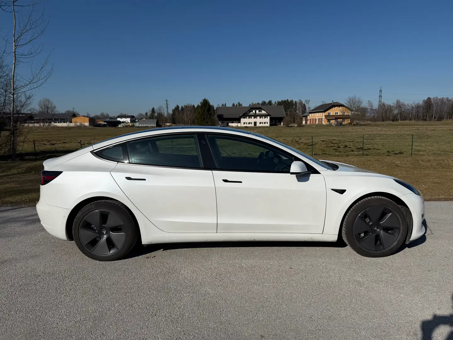 Tesla Model 3 Model 3 Standard Range RWD Plus 57,5kWh RWD Plus Weiß - 2