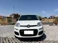 Fiat Panda Panda 0.9 TwinAir Turbo Natural Power Lounge Bianco - thumbnail 10