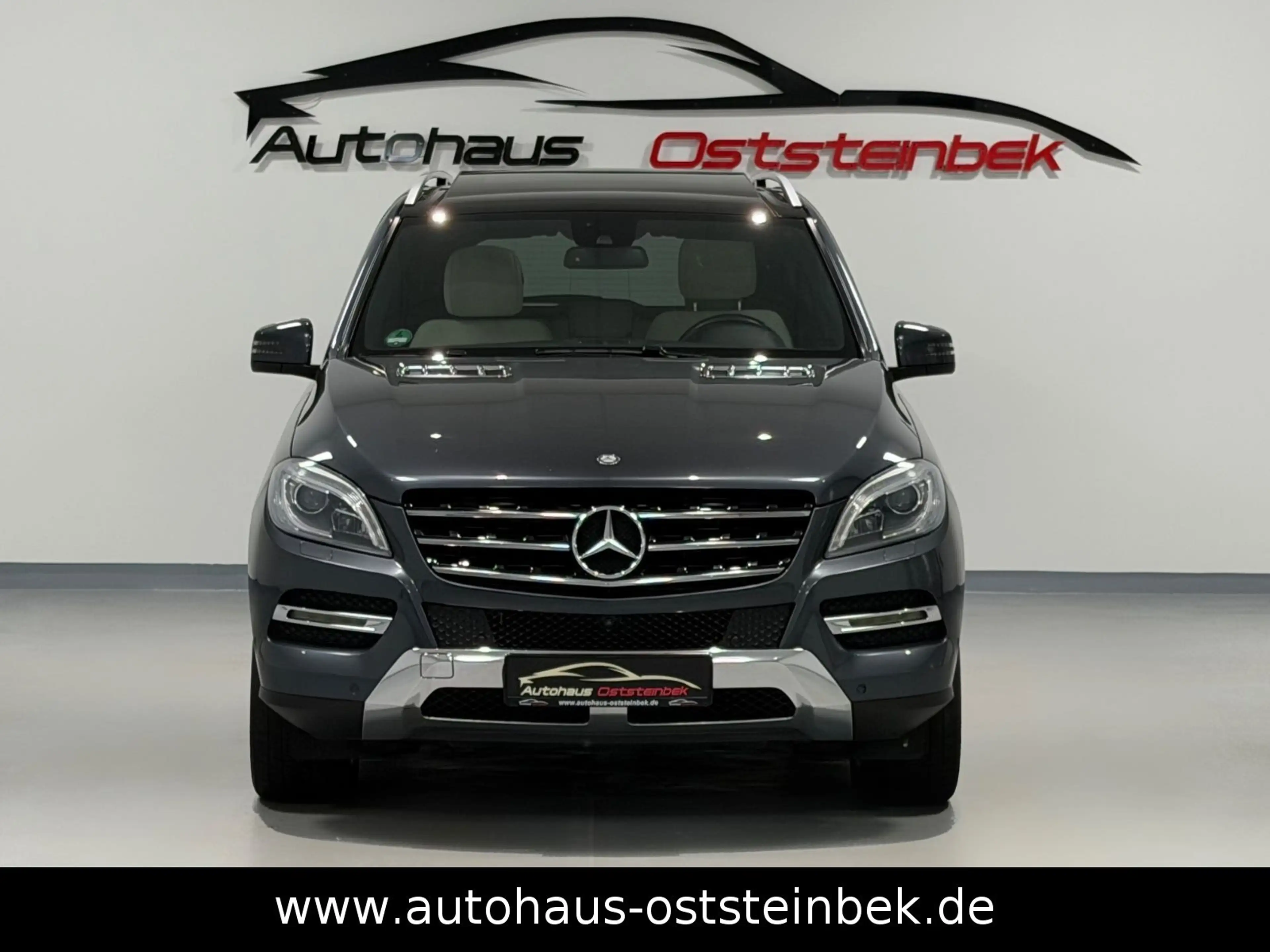 Mercedes-Benz ML 350 CDI BLUETEC 4MATIC/DESIGNO/PANO/360°K/XEN — photo 8