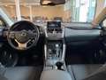 Lexus NX 300 Hybrid 4WD Executive Grigio - thumbnail 6