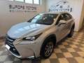 Lexus NX 300 Hybrid 4WD Executive Grigio - thumbnail 3