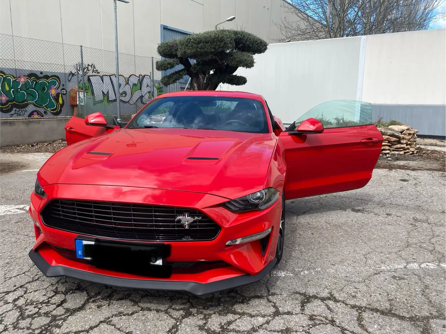 Ford Mustang Fastback 2.3 EcoBoost 214kW Rojo - 1