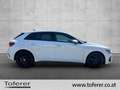 Audi A3 30 TFSI intense Weiß - thumbnail 4
