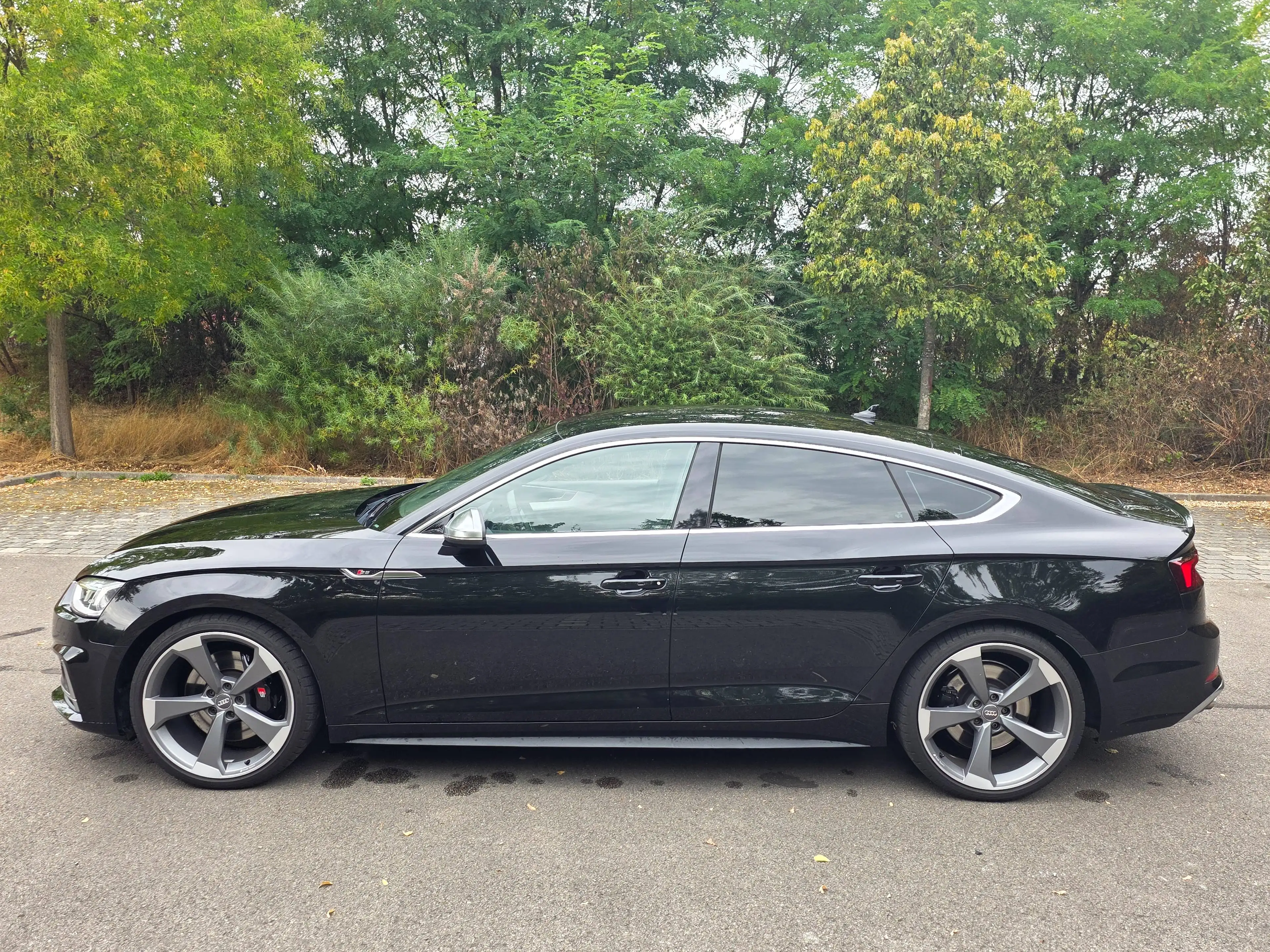 Audi S5 3.0 TFSI quattro — photo 8