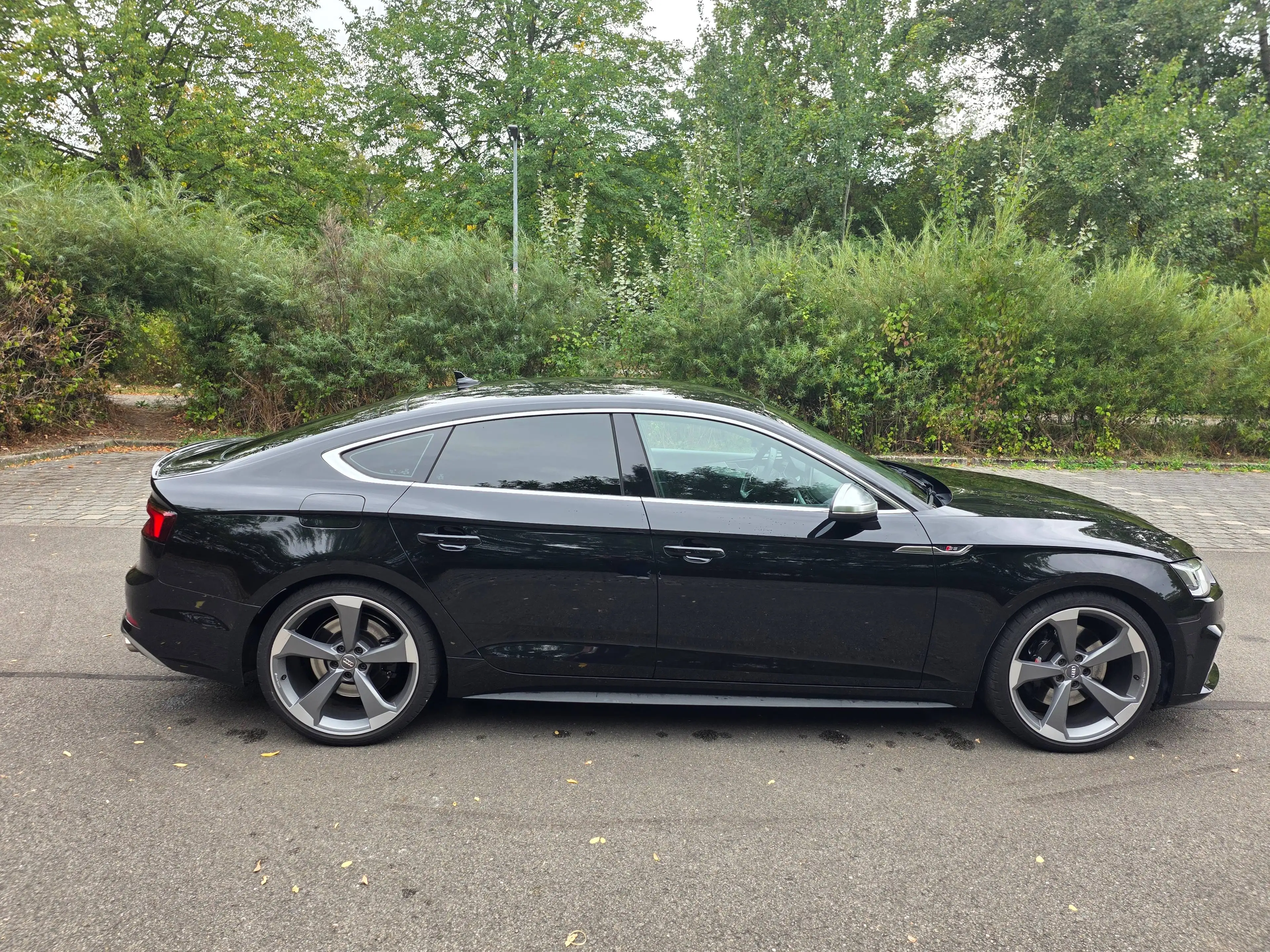 Audi S5 3.0 TFSI quattro — photo 4