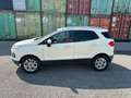 Ford EcoSport 1.5 TDCi 95 CV Titanium S Bianco - thumbnail 4