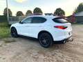 Alfa Romeo Stelvio 2.0 Turbo 16V AT8-Q4 Super Blanc - thumbnail 1