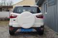Ford EcoSport Titanium|Euro 6|Klimaauto|AHK| Blanc - thumbnail 7