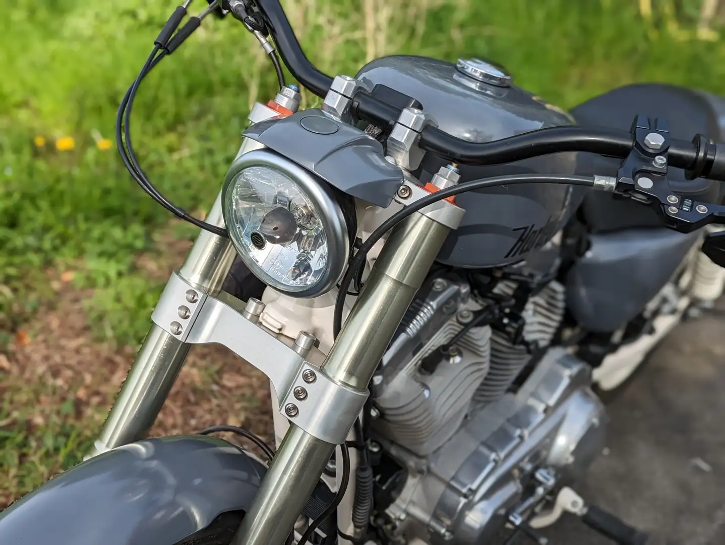 Harley-Davidson Sportster Custom Gri - 2
