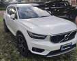 Volvo XC40 XC40 2.0 t4 Business Plus awd geartronic my20 Bianco - thumbnail 5
