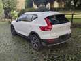 Volvo XC40 XC40 2.0 t4 Business Plus awd geartronic my20 Bianco - thumbnail 2