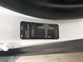 Ford Focus 1.5 EcoBlue Cool&Connect AHK Key Blanc - thumbnail 13