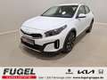 Kia XCeed 1.5 T-GDi DCT Vision LED|Navi|SHZ Weiß - thumbnail 1