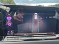 Volkswagen Golf Variant 1.5 eTSI OPF DSG Style Automatic - thumbnail 13