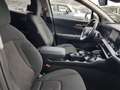 Kia Sportage Sportage 1.6 tgdi hev Style auto Verde - thumbnail 25