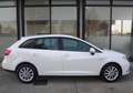 SEAT Ibiza Ibiza 1.0 Style 75CV Tagliandata Freni Nuovi Blanc - thumbnail 3