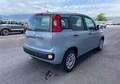 Fiat Panda 1.0 FireFly S&S Hybrid Gris - thumbnail 5
