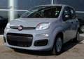 Fiat Panda 1.0 FireFly S&S Hybrid Gris - thumbnail 1