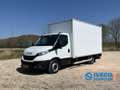 Iveco Daily 35S14 | Origineel Nederlands | Dhollandia | lat-om Blanco - thumbnail 1