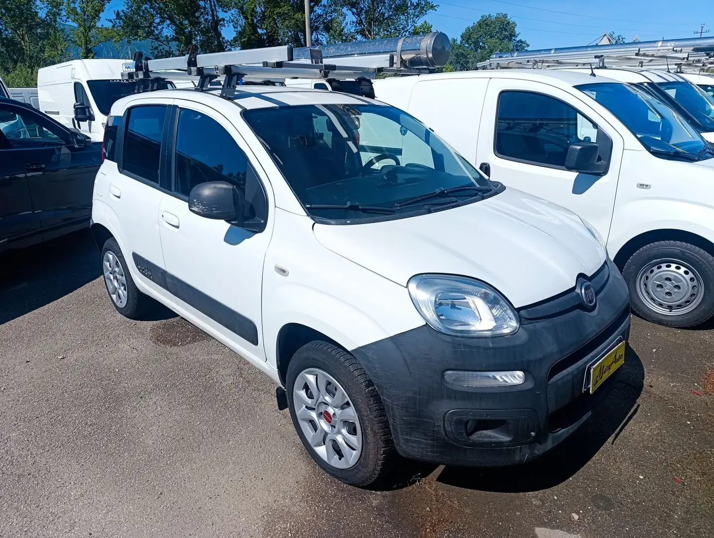 Fiat Panda Panda 1.3 MJT S&S 4x4 Pop Climbing Van 2 posti - 2
