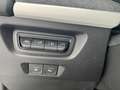 Renault ZOE 70PS Klimaanlage Kamera Sitzheizung Gris - thumbnail 16