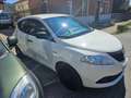 Lancia Ypsilon Ypsilon III  1.2 Elefantino Blu s Blanco - thumbnail 2