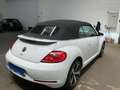 Volkswagen Maggiolino Cabrio 1.4 TSI DSG R-Line #impiantoFender Bianco - thumbnail 2
