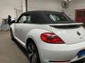 Volkswagen Maggiolino Cabrio 1.4 TSI DSG R-Line #impiantoFender Bianco - thumbnail 4
