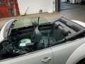 Volkswagen Maggiolino Cabrio 1.4 TSI DSG R-Line #impiantoFender Bianco - thumbnail 8