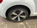 Volkswagen Maggiolino Cabrio 1.4 TSI DSG R-Line #impiantoFender Bianco - thumbnail 12