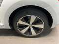 Volkswagen Maggiolino Cabrio 1.4 TSI DSG R-Line #impiantoFender Bianco - thumbnail 10
