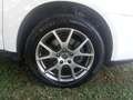Fiat Freemont 2.0 Mjt 170 CV 4x4 aut. Lounge Bianco - thumbnail 11