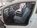Ford Fiesta Fiesta 3p 1.2 16v Titanium 82cv Blanc - thumbnail 9