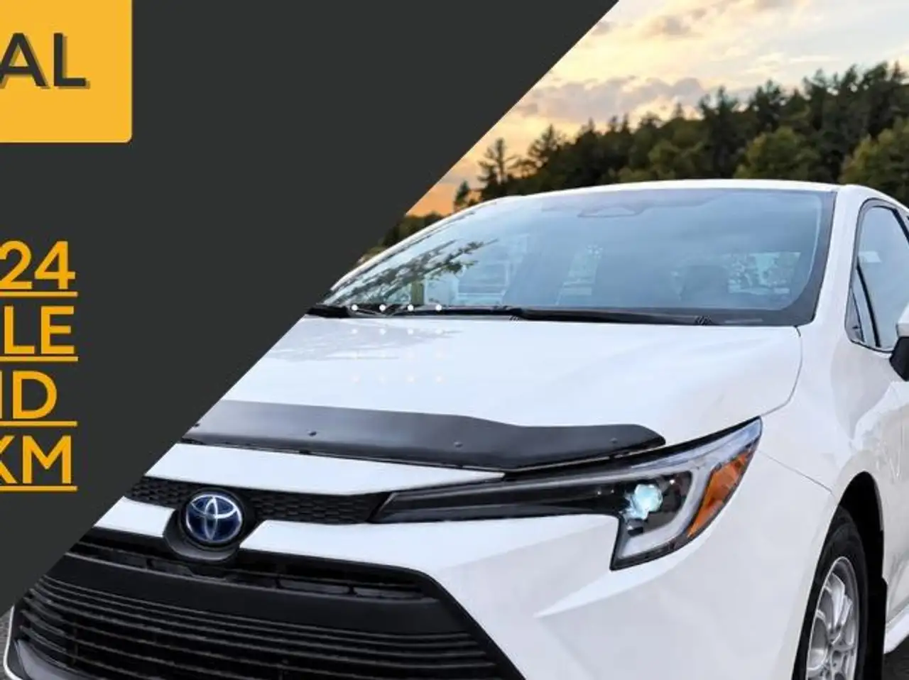 2024 Toyota Corolla