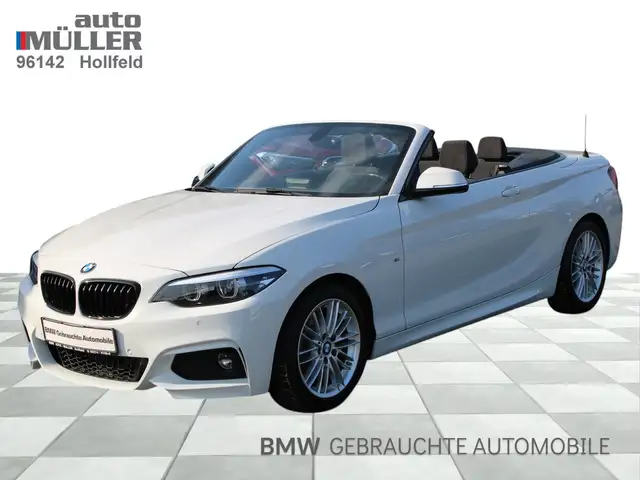 BMW 220 i A M Sportpaket Navi Bus. Tempomat USB Shz