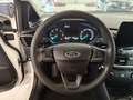 Ford Fiesta Fiesta 3p 1.5 tdci 85cv N1 AUTOCARRO Bianco - thumbnail 14