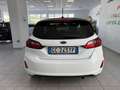 Ford Fiesta Fiesta 3p 1.5 tdci 85cv N1 AUTOCARRO Bianco - thumbnail 5