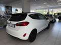 Ford Fiesta Fiesta 3p 1.5 tdci 85cv N1 AUTOCARRO Bianco - thumbnail 4