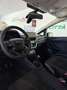 Ford Fiesta Fiesta 3p 1.5 tdci 85cv N1 AUTOCARRO Bianco - thumbnail 11