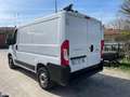 Fiat Ducato 28 2.3 MJT 120CV PC-TN Furgone Wit - thumbnail 3