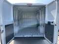 Fiat Ducato 28 2.3 MJT 120CV PC-TN Furgone Wit - thumbnail 11