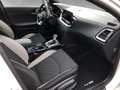 Kia ProCeed / pro_cee'd 1.6 CRDi Eco-Dynamics+ (48V Mild-Hy.) DCT7 GT LINE Weiß - thumbnail 4
